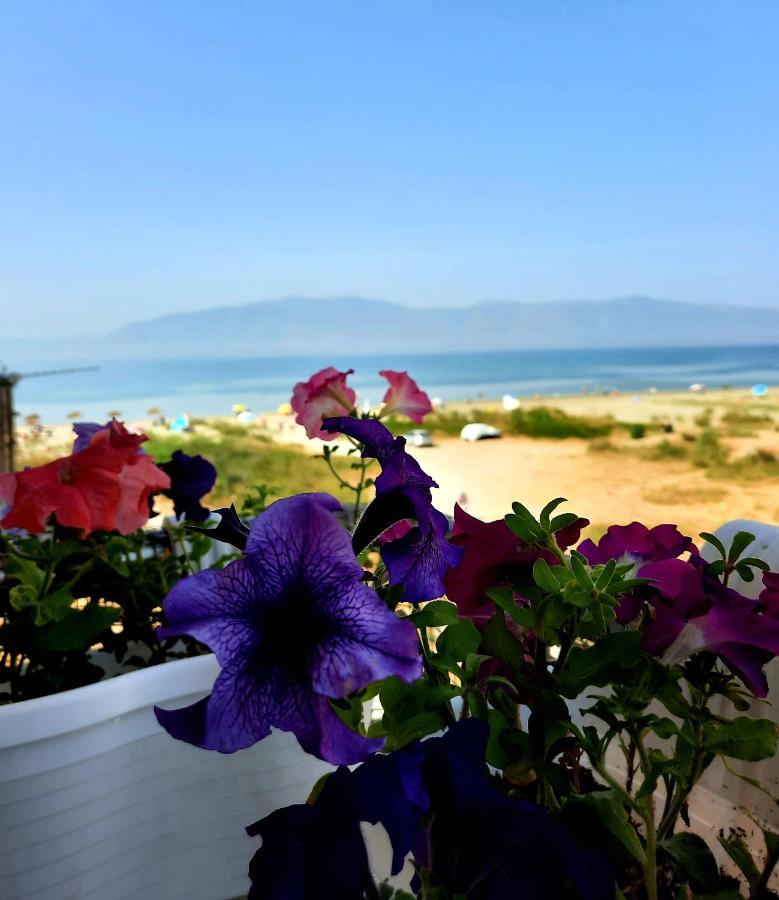 Antea Apartments 1-2 Vlorë エクステリア 写真